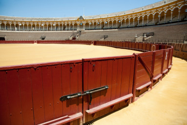 arena Pamplona 