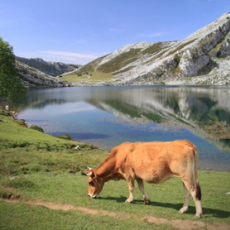 Asturië