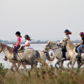 Camargue